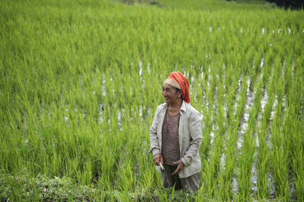 For traditional farmers like Teodora* in the Philippines, the changing climate impacts rice production, and repeated tropical cyclones threaten the community every year.