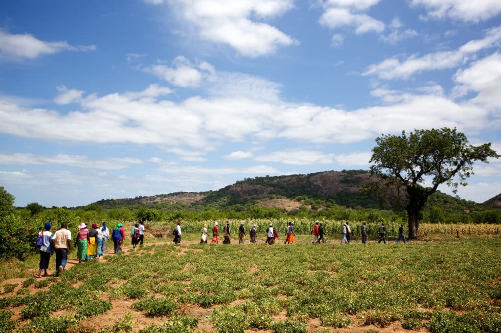 New Christian Care farmers in Mwenezi District, south east Zimbabwe are shown around a good example of a conservation farm by Desmond Makuni, the Christian Care Project Assistant in Mwenezi District.