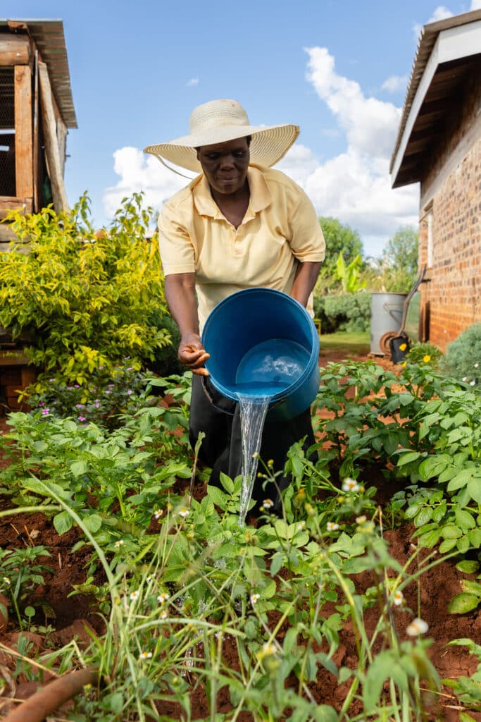 Jane is the chair of the Water, Sanitation and Hygiene - Zimbabwe